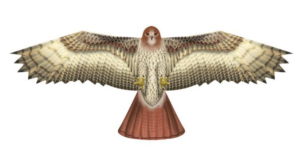 Bussard Vogel Drachen - X-Kites Birds of Prey