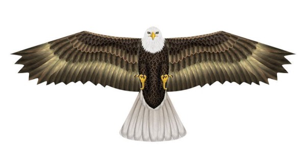 Adler Drachen - X-Kites Birds of Prey