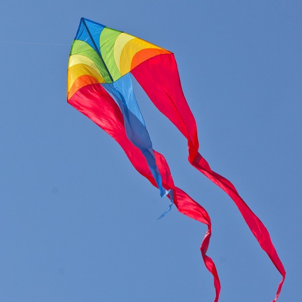 F-Tail Dart Rainbow Colors in Motion Draußen