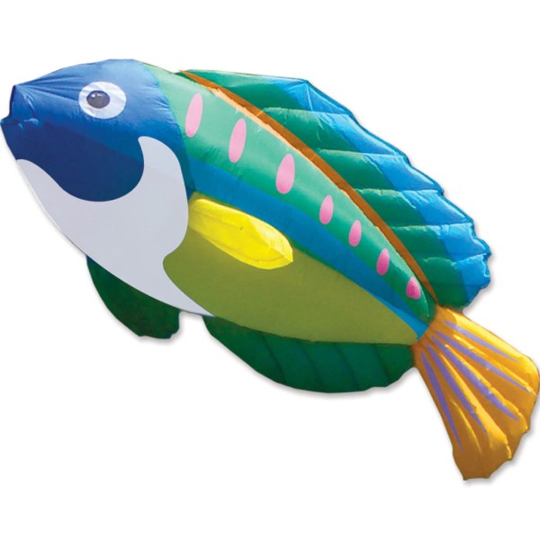 Peacock Wrasse - Premier Kites